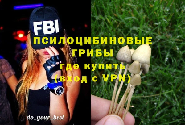 дживик Баксан