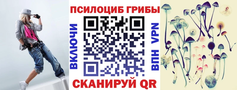 даркнет наркотические препараты Гаврилов-Ям Псилоцибиновые грибы GOLDEN TEACHER